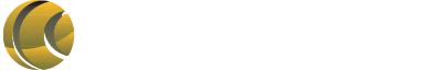logo-LDW-Electro